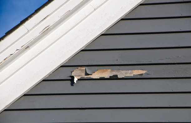 Siding for Multi-Family Homes in Big Bear City, CA
